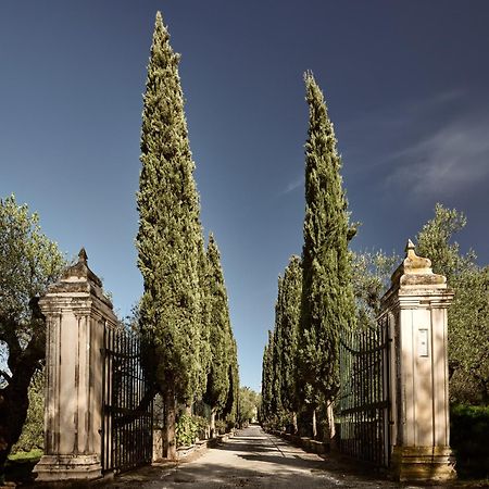 Almeira 4Acre Estate, For Unparalleled Seclusion, By Thinkvilla Zakynthos Town Exterior photo