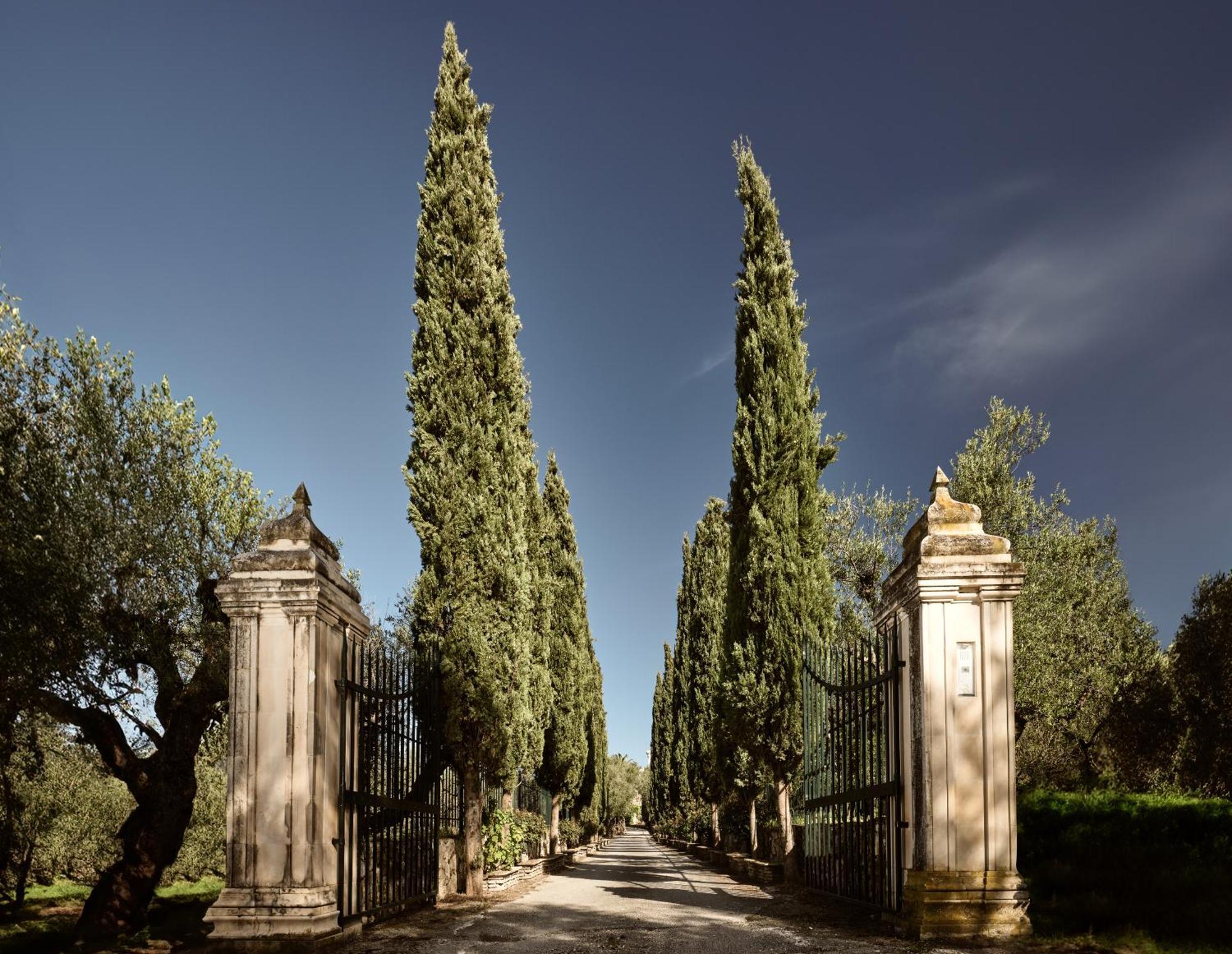Almeira 4Acre Estate, For Unparalleled Seclusion, By Thinkvilla Zakynthos Town Exterior photo