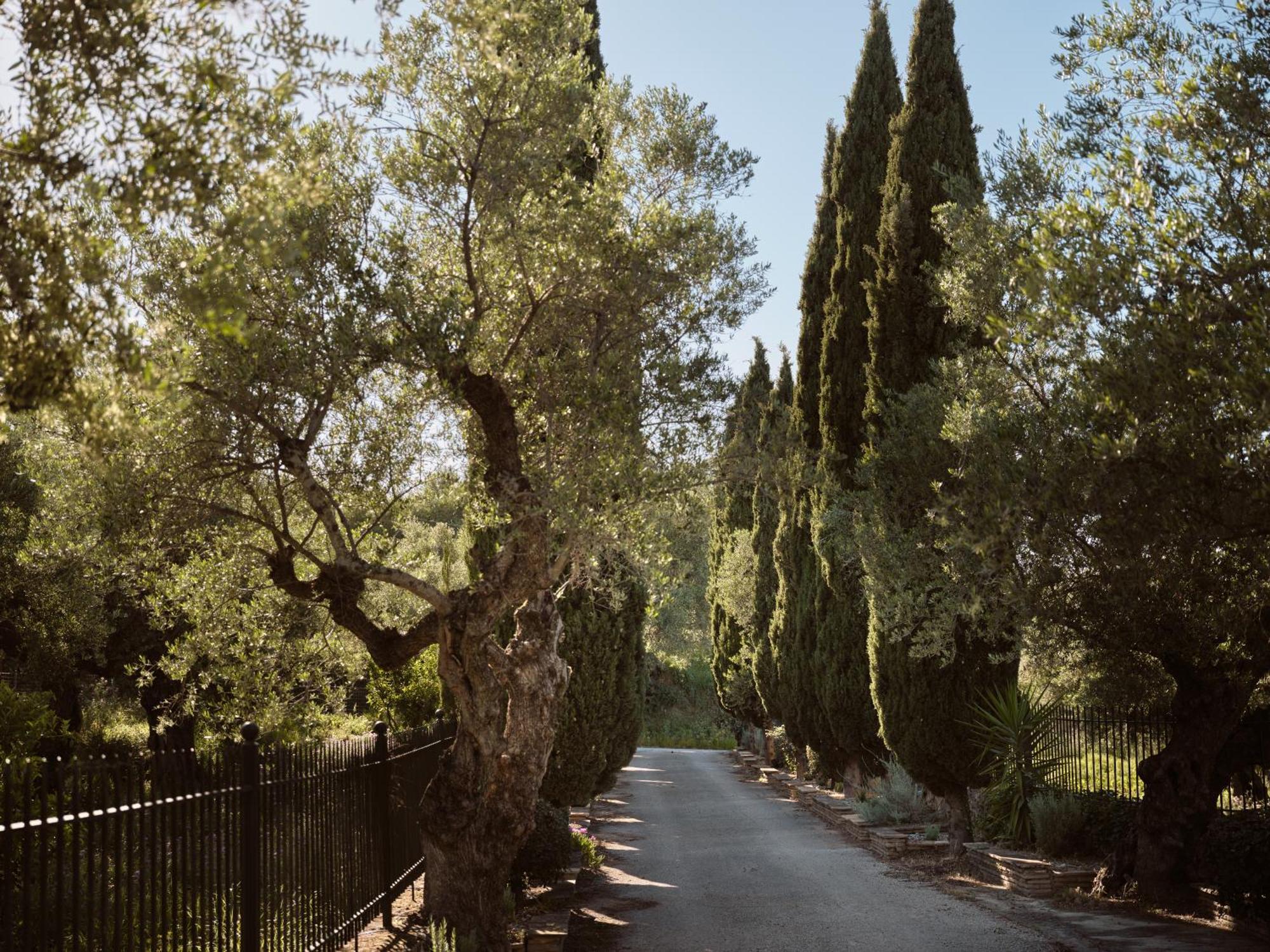 Almeira 4Acre Estate, For Unparalleled Seclusion, By Thinkvilla Zakynthos Town Exterior photo